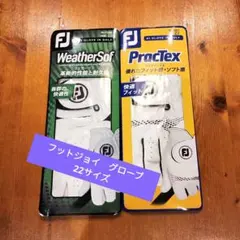 【新品未使用】FootJoy WeatherSof & PracTex