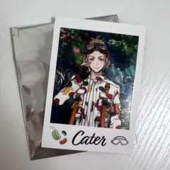 ツイステ展 カードコレクション （ケイト）