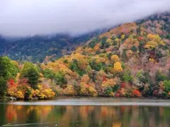 杠　ゆずりは　地獄楽　アクリルスタンド