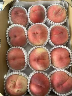 136.ネクタリン　油桃16玉入り　箱込み2.5kg 常温発送 34.ネクタリン 油桃 箱込み2kg 常温発送 - メルカリ