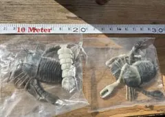 2025年最新】海さそりの人気アイテム - メルカリ