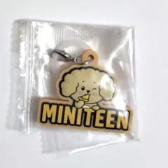 MINITEEN ガチャ　ドギョム