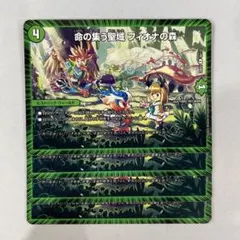 139704 命の集う聖域フィオナの森