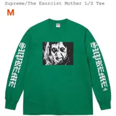SUPREMEシュプリーム マイクケリー Tシャツ サイズM ソニックユース