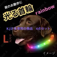 犬 ドッグ 光る 首輪 LED Lサイズ レインボー USB充電 夜間 散歩用