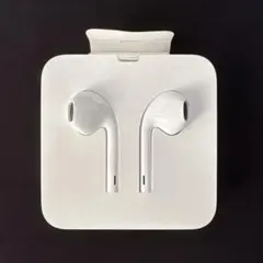 【新品未使用】 Apple純正ライトニングイヤホン