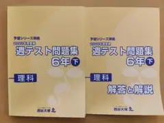 2026年最新】週テスト問題集 6年の人気アイテム - メルカリ