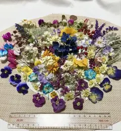 ドライフラワー盛り合わせ　ハンドメイド　花材セット