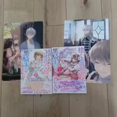 Item thumbnail for item 775fb78d-9e35-4352-9f62-8c6233d6beb6