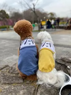 Item thumbnail for item a6549f14-a6c4-4afc-aa48-b788102cc06b