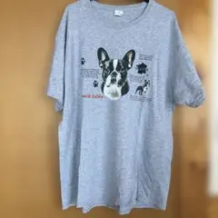 Hanes ボストンテリア Tシャツ グレー