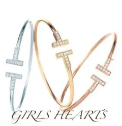 送料無料イエローゴールドスーパーCZダイヤステンレスT字ワイヤーバングルブレス