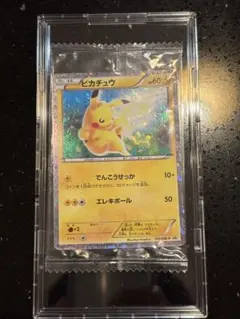 美品】 ポケパーク ピカチュウ - メルカリ