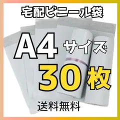 A4・100枚 ☆ 宅配ビニール袋郵送袋宅配袋資材配送用ネコポス梱包袋