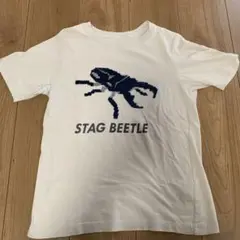 Tシャツ 150cm