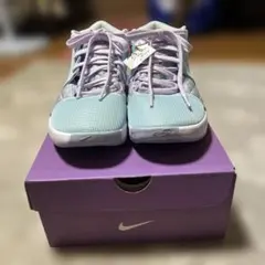 NIKE レブロン ウィットネス VIII EP 25.5cm