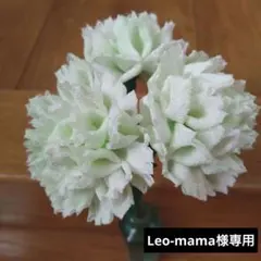 Leo-mama様専用　カーネーション(パステルグリーン)　　と蓮の花のランタン