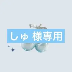 しゅ 様専用
