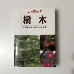 樹木
