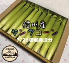 信州産 ヤングコーン・ベビーコーンのサムネイル