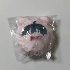 ブレイクマイケース　環野揺　くるみたぴぬい