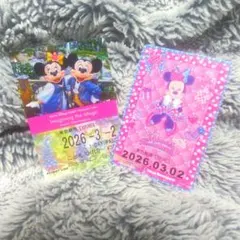 ミニーの日限定♥リゾラきっぷ未使用期限切♥パルパル＆FS♥2026/3/2♥2枚
