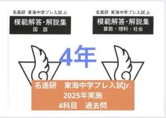 2026年最新】名進研 プレ中学入試の人気アイテム - メルカリ