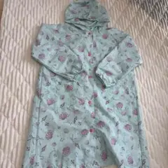 Item thumbnail for item db9ad273-0c51-4811-81c7-00782cebc545