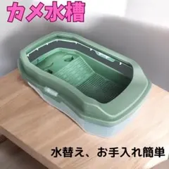 Item thumbnail for item 9e19ab58-d3e1-43e9-8149-1fd0fa43c5fd