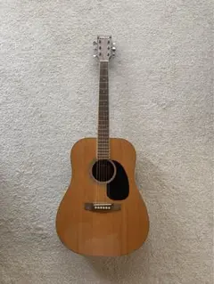 ARIA　ADW-200　ジャパンヴィンテージ　アコースティック ギター Aria ADW-200 NAT アコースティックギター & & 初心者/入門
