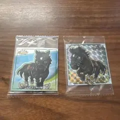 サラブ烈闘　シャフリヤール　シール　馬　競馬　２枚セット