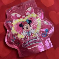 ミニー　パルパルーザ　パスタスナック　ファンダーランド　ディズニーリゾート