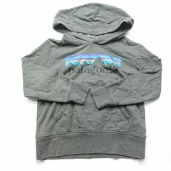 Patagonia K'sLW Graphic Hoody Sweatshirtのサムネイル