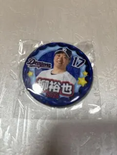 中日ドラゴンズ 柳裕也