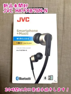 新品未開封品】JVC イヤフォン HA-FX87BN-N 2個セット【最安値
