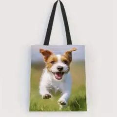 Item thumbnail for item 642bab8d-a14f-4f74-8229-4e531346a8a7