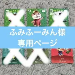 ふみふーみん様専用ページ 5枚セット