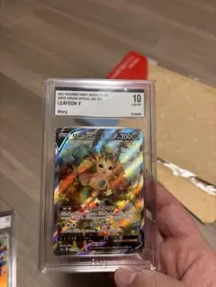 2026年最新】リーフィアV psa10の人気アイテム - メルカリ