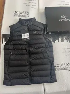 2025年最新】ARC'TERYX メンズ ダウンベスト・キルティングベストの
