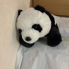 kuttari パンダ　まったり　タグ付き