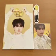 NCTDREAM シーグリ チョンロ