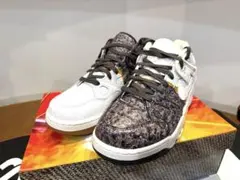 NIGO NIKE AIR FORCE 3 LOW TOGEI
