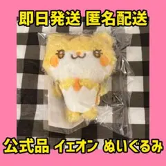 AHOF JEONGWOO Doll Keyring ぬいぐるみキーホルダー - メルカリ