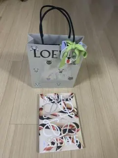 LOEWE ショップバッグ　カタログ