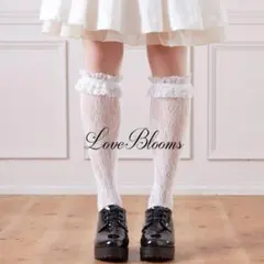 フリル レース ハイソックス 白 レディース 靴下 量産型 地雷系 ロリータ