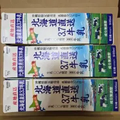 牛乳パック 工作素材