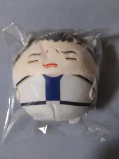 2025年最新】ハイキュー 木兎 ふわコロりんの人気アイテム - メルカリ