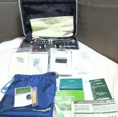 Item thumbnail for item 9e20173c-f8a4-4895-9bfc-e7310f513702