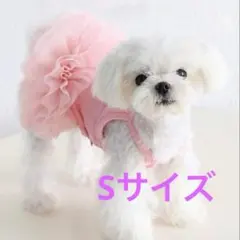 【新品】犬猫用ピンクフリルドレス　s 犬服
