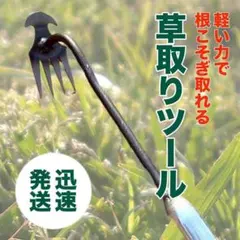 잡초 도구, 잡초 포크, 4 갈래, 원예, 원예 용품, 정원 관리, 잡초 제거